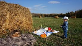 Правительство поддержало упрощённый перевод сельхозземель под агротуризм